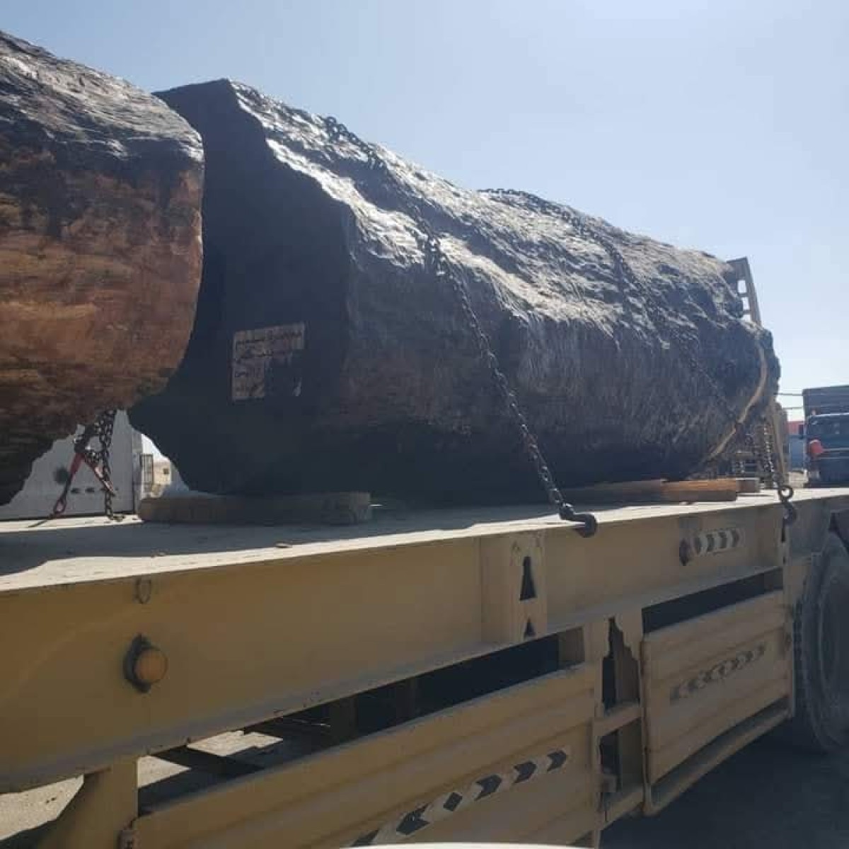 ضبط 200 كيلوغرام من الحشيش المخدر بمنفذ شحن بالمهرة