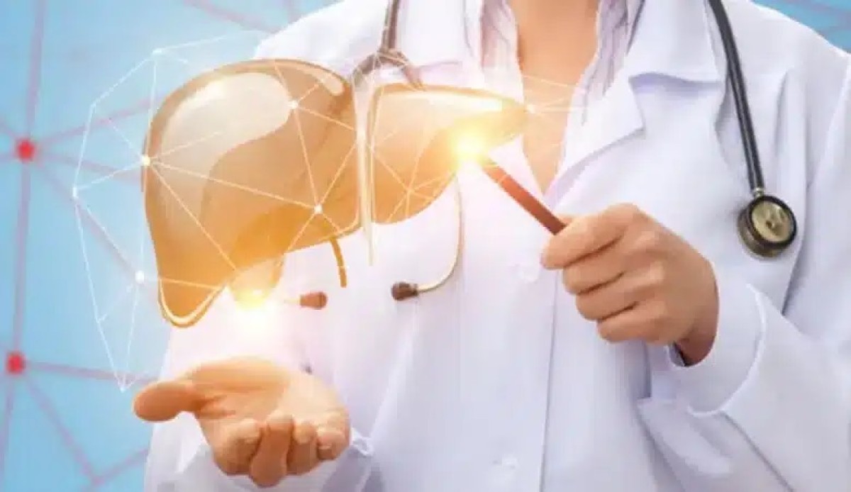 The fat dissolves in two weeks .. 8 drinks open the arteries of the liver