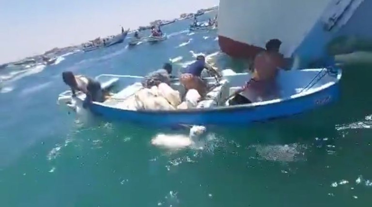 بالصور.. البحر يبتلع مئات الأغنام في عدن بعد جنوح سفينة