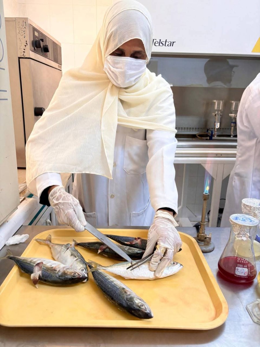 المختبر المركزي لمراقبة جودة الأسماك يتسلم أجهزة متطورة بدعم دولي