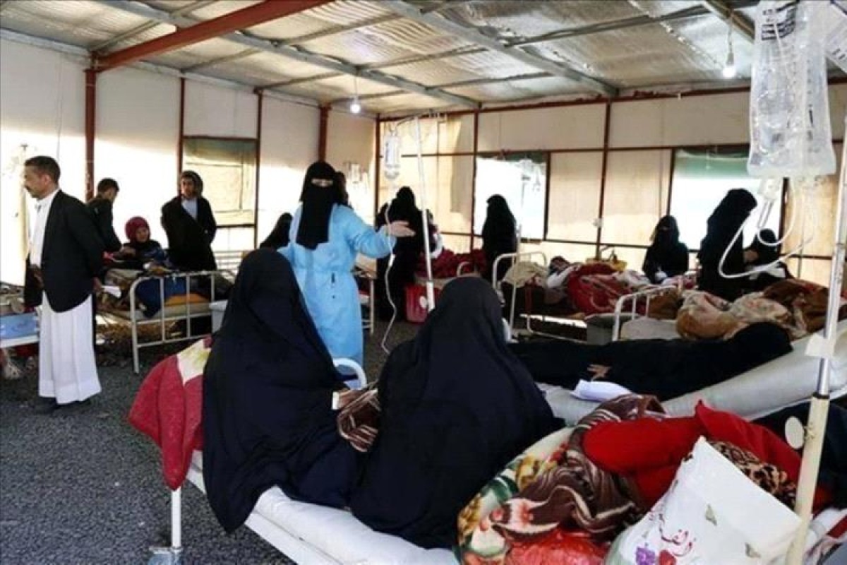 Record more than 210,000 cases of malaria and 18 deaths in Yemen