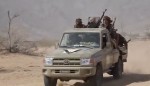 The Southern Giants forces eliminate Houthi groups attacking in the Al -Jafra area of ​​Ma'rib