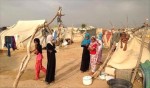 International Immigration: 49 families displaced within a week