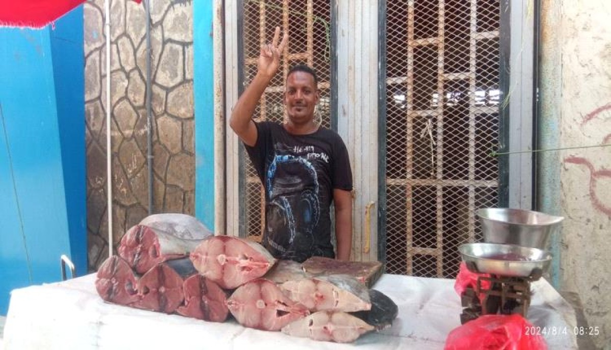 Fish prices in Aden