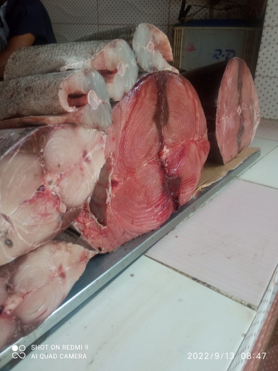 A new drop in the price of oyster fish today, Friday
