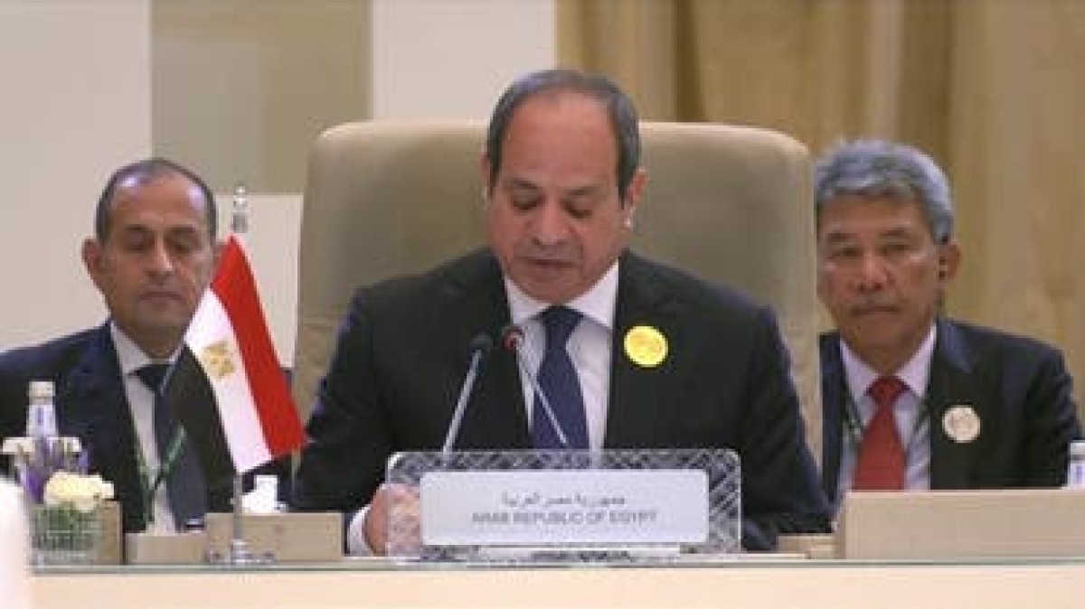 السيسي: سنقف ضد كل مخططات تهجير الفلسطينيين