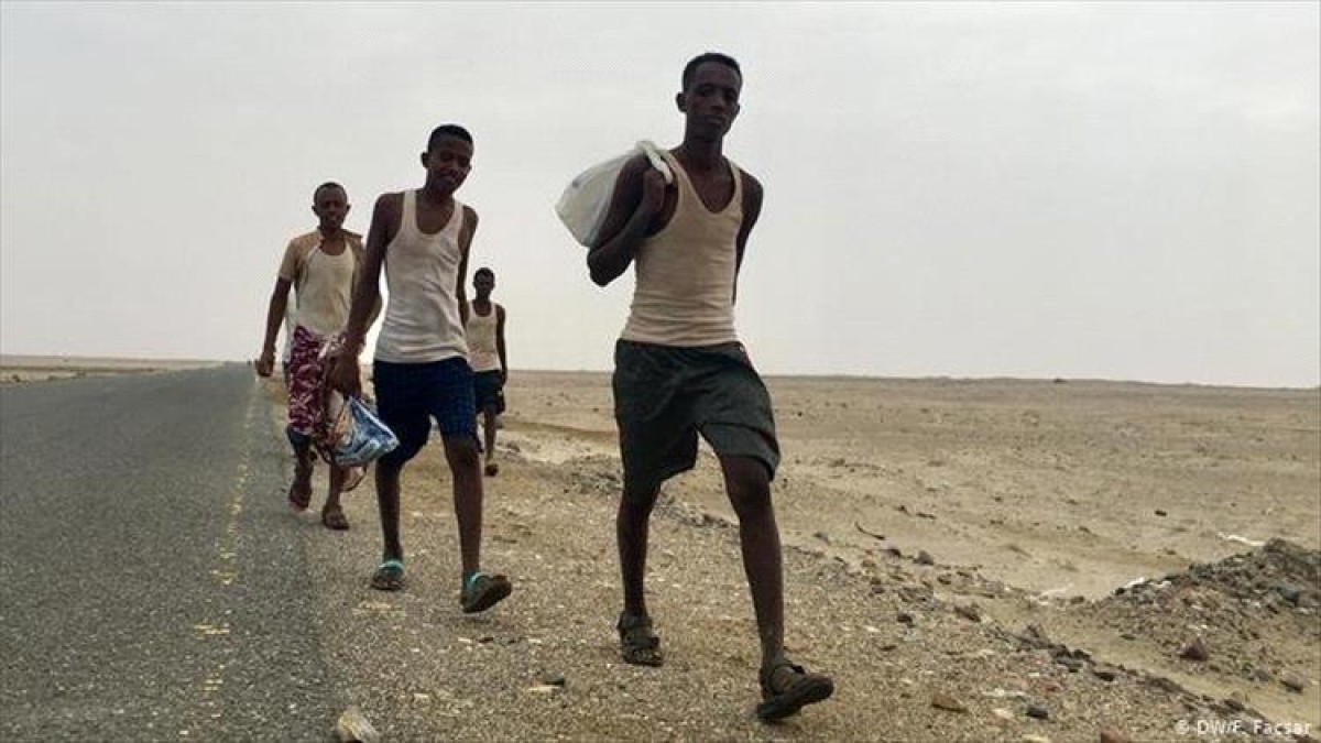 Shabwa police arrest 144 African migrants off the coast of Radum
