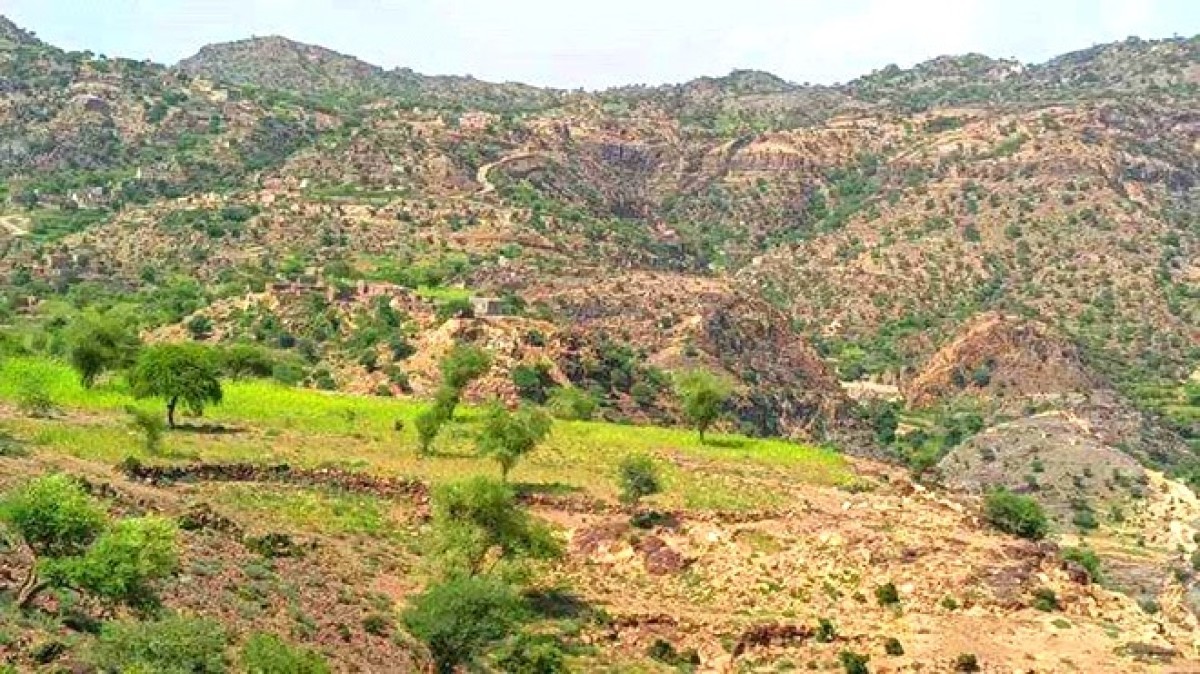 Mutual artillery shelling between the southern forces and the Houthis in Al-Musaimeer