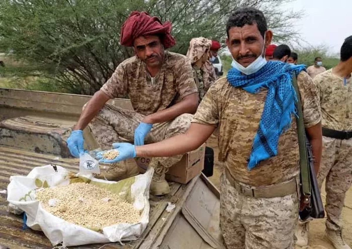 "Houthi" drugs threaten the future of Yemen... a dark trade and shocking statistics