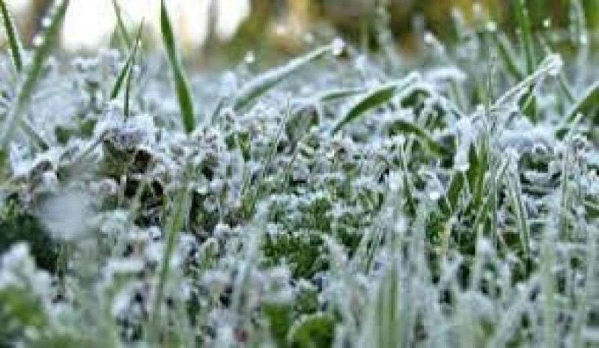 The coldest Yemeni governorates in the coming hours
