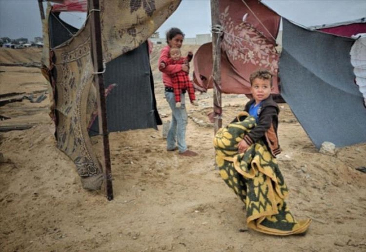 17 Yemeni families stranded in Gaza appeal to the Yemeni authorities to intervene