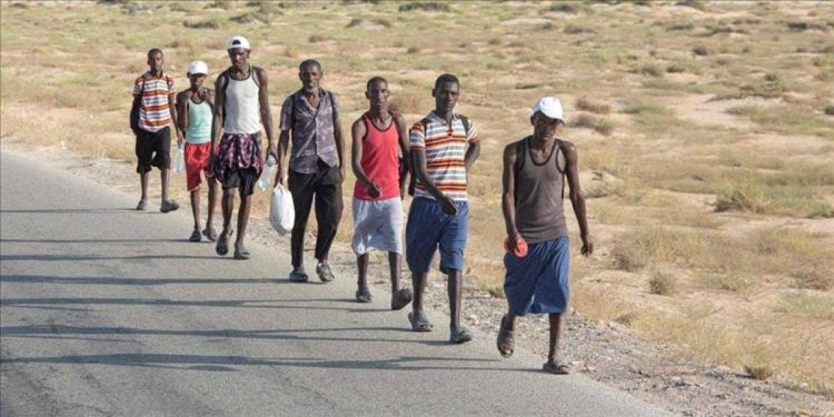 An important government decision regarding African immigrants in Yemen