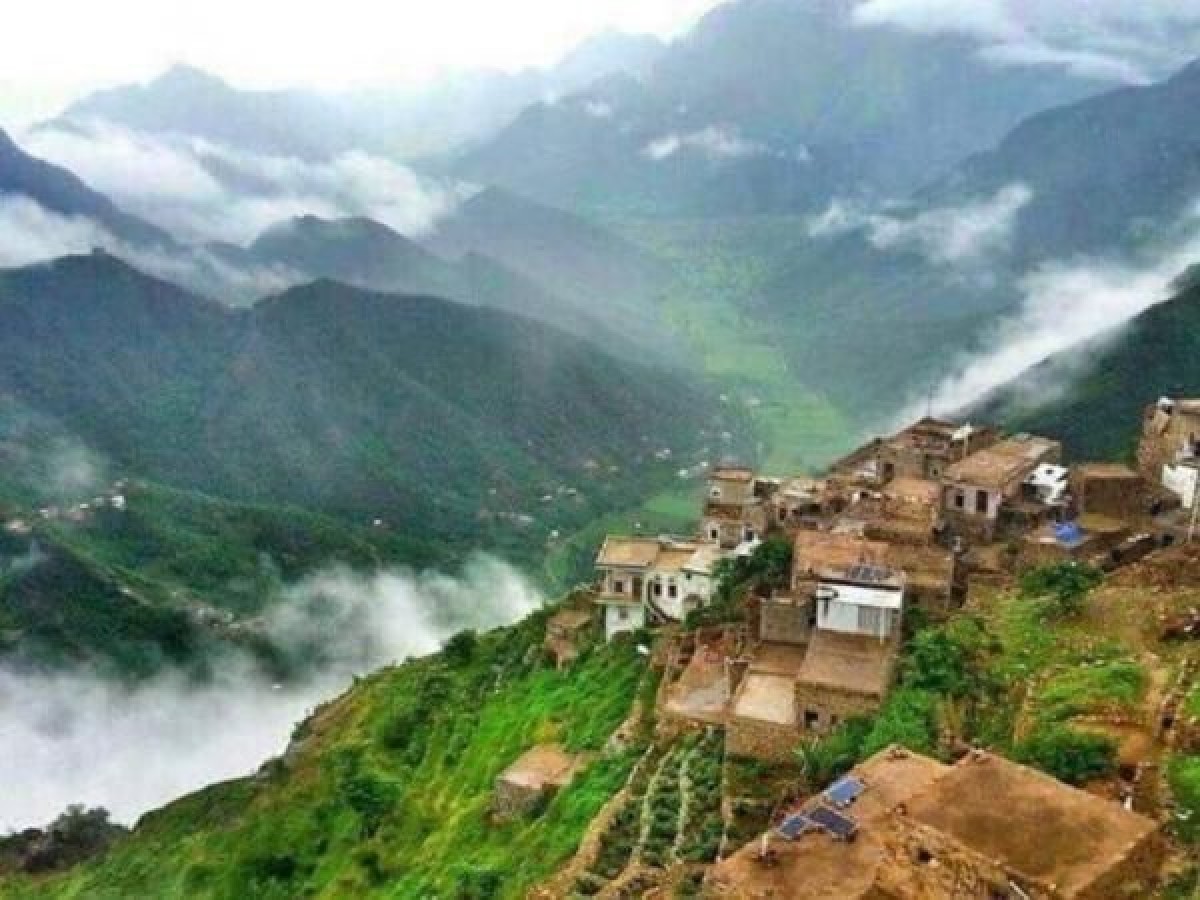 Government official: The Houthi gang turned Raymah Governorate into a private fiefdom
