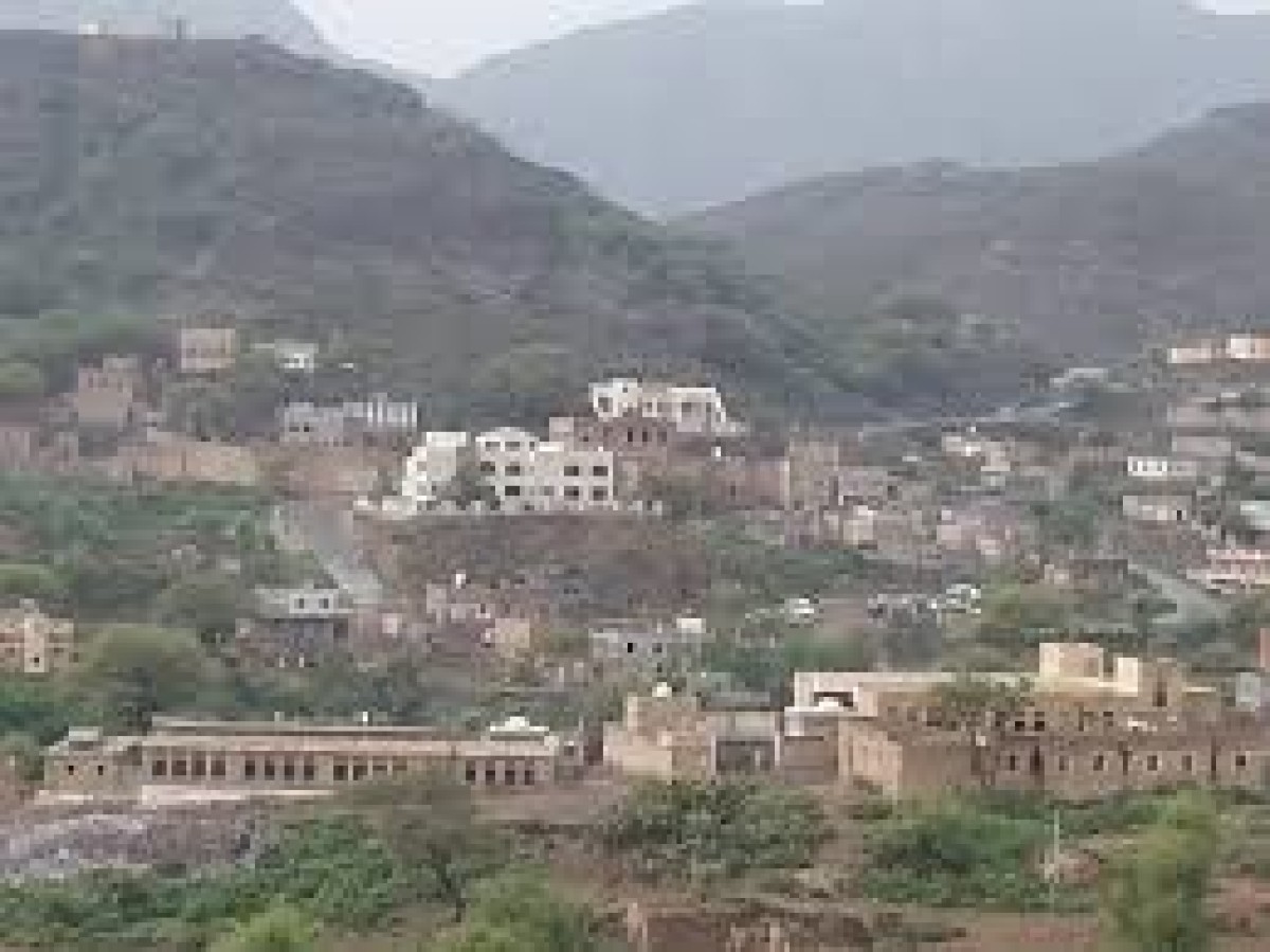 Houthi gunmen brutally assaulted a citizen in front of his daughter in Taiz