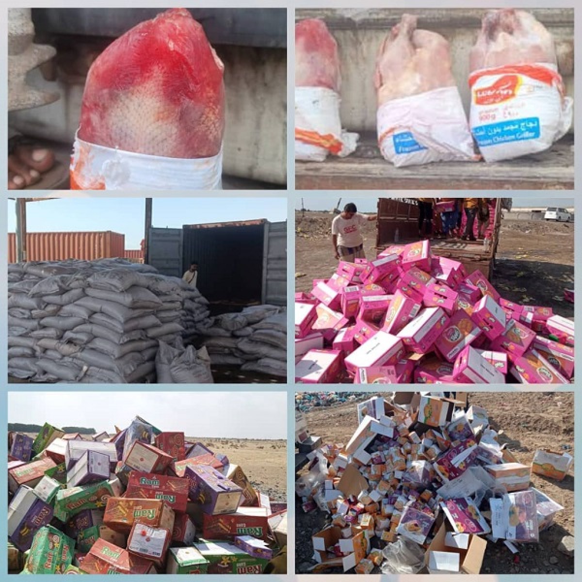 Specifications and standards reject corrupt frozen chicken and violating products in Aden and Taiz
