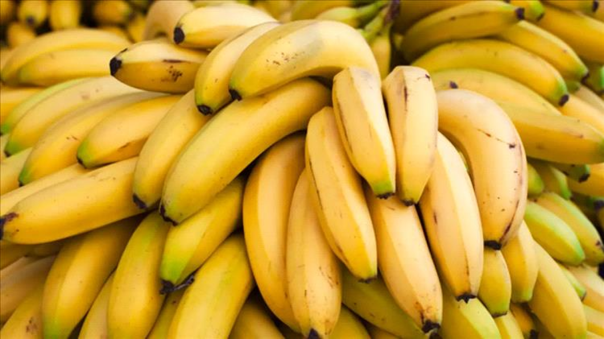 After a long ban .. Syria is re -importing Yemeni banana