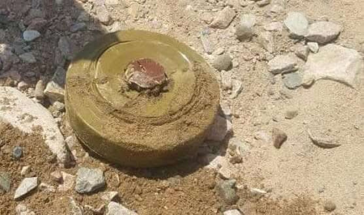 A Houthi citizen was killed while sheep grazing east of Sanaa