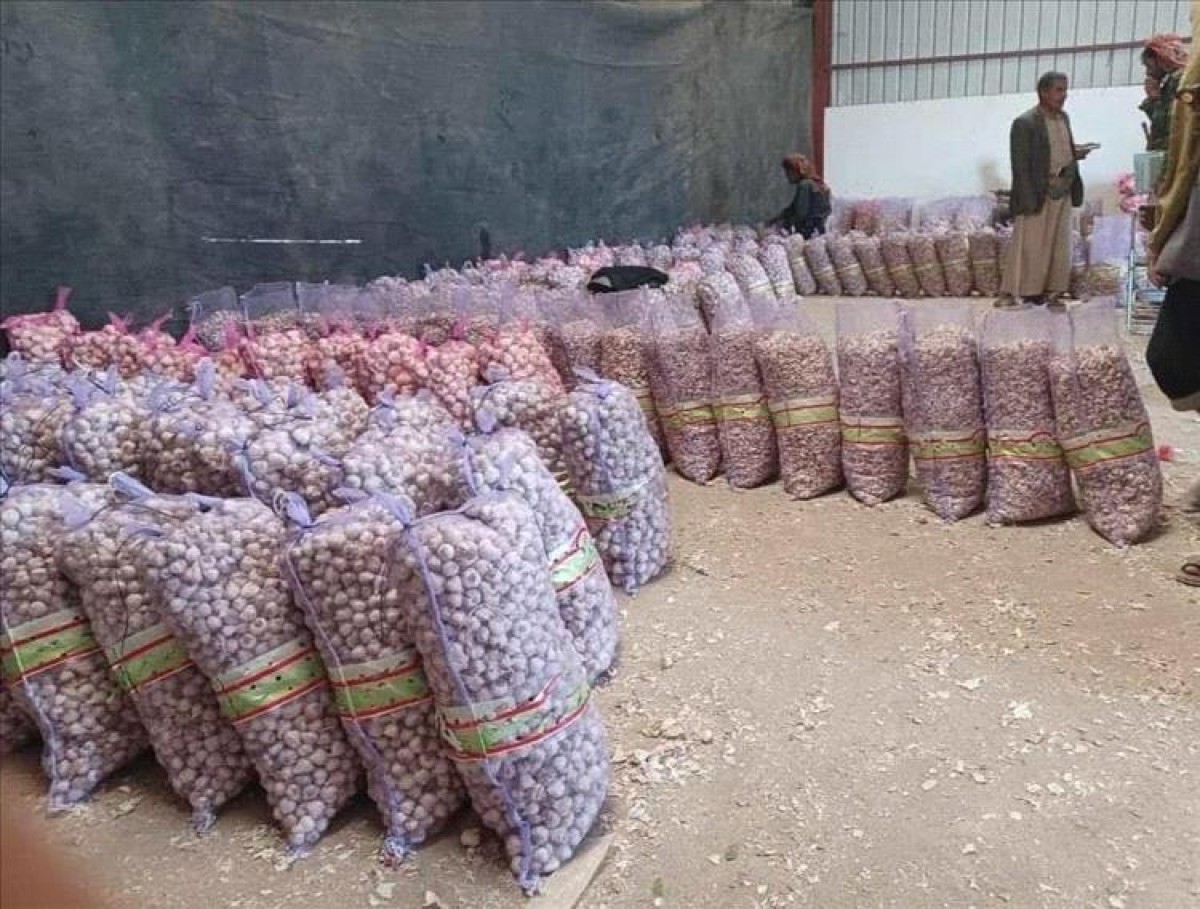 Houthi collections exhaust Yemeni farmers