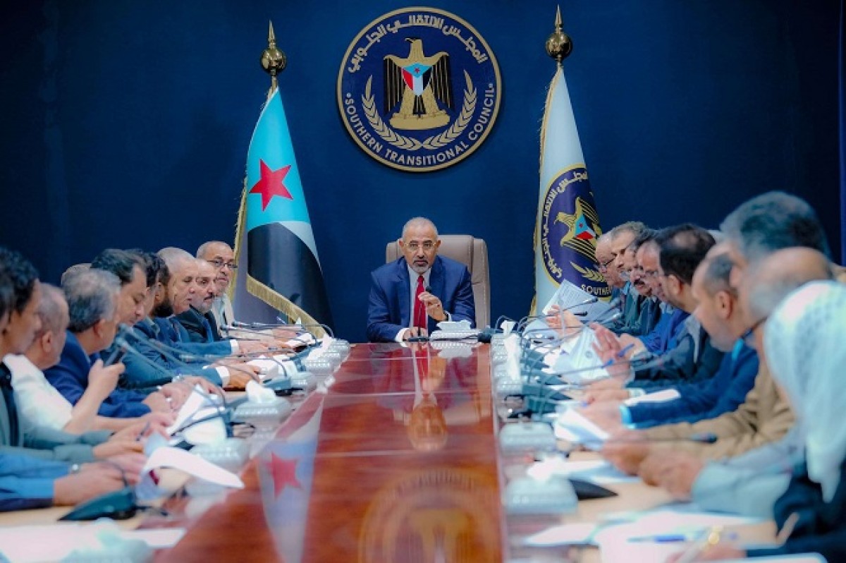 The Transitional Presidency stands in front of the procedures for completing the structure of the council’s bodies and the mechanisms for developing their organizational performance