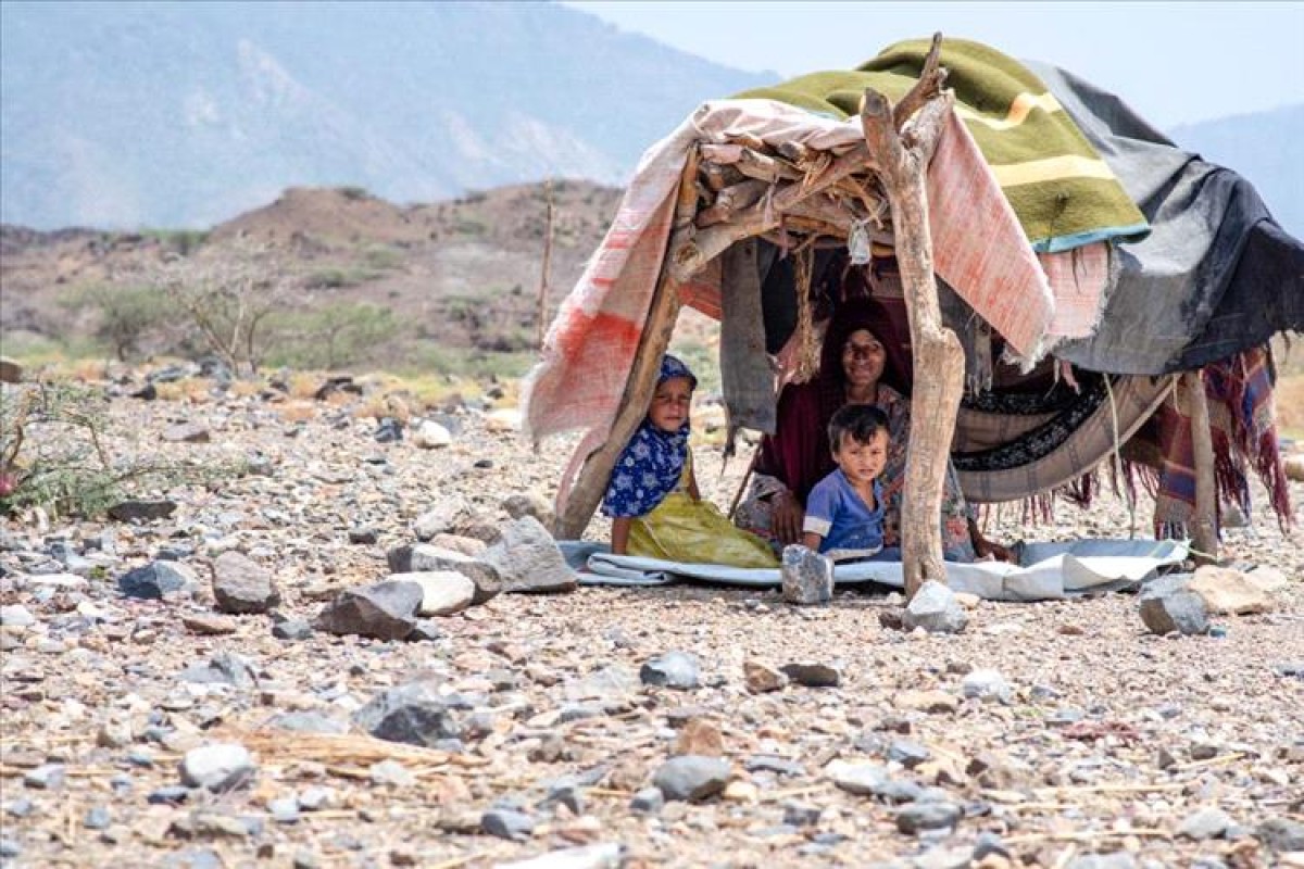 International Immigration: We monitored the displacement of 14 Yemeni families during the past week