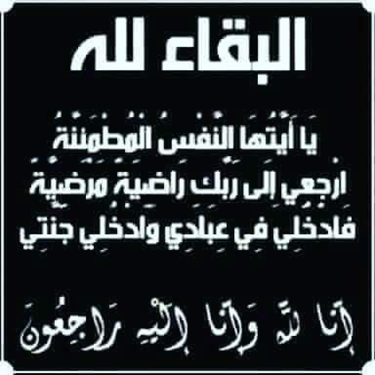 أبو رعد الصلاحي يعزي الدكتور عمر العنتري بوفاة والدته