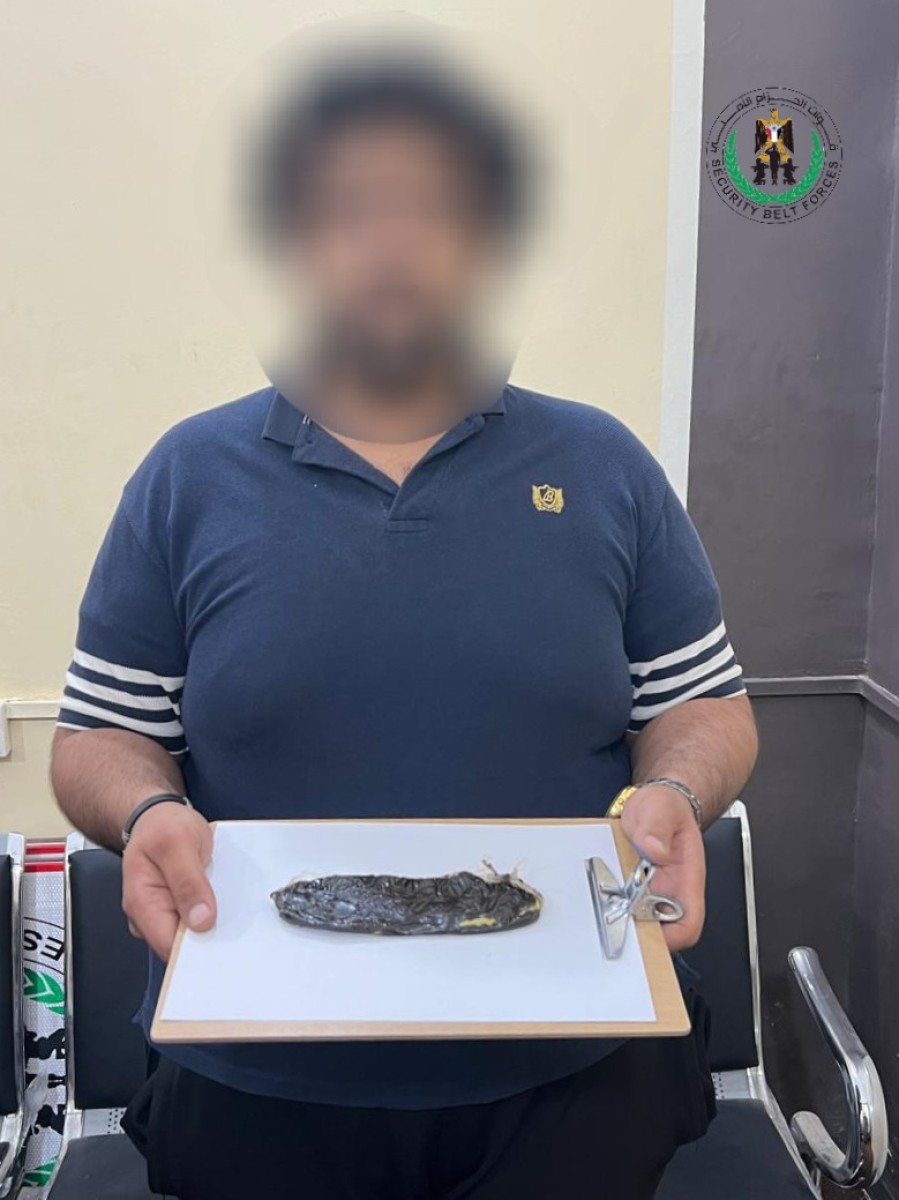 مكافحة المخدرات بالحزام الأمني تضبط احد مروجي المخدرات بالمنصورة في العاصمة عدن