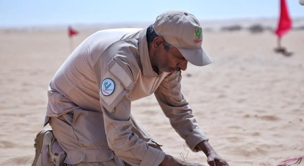 مشروع "مسام" يتلف 600 لغم وعبوة ناسفة في شبوة