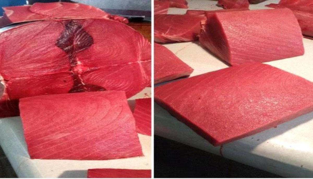 أسعار الأسماك في العاصمة عدن اليوم الأحد 25 مايو